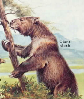 Giant Sloth - how cool would it be if these were still around