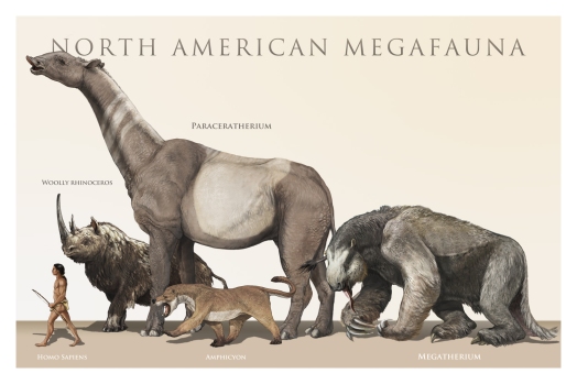 North American Megafauna. That at the front is our ancestor standing ready with a spear to ring down big creatures when they could survive on little ones. I'm not joking, Gibbons says hunting of big game even as their numbers were dwindling was an example of 'show off' behaviour. 